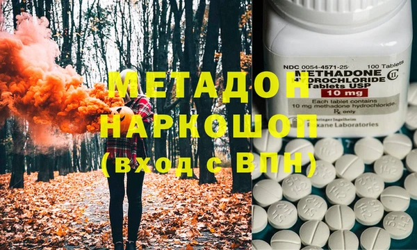 индика Абаза