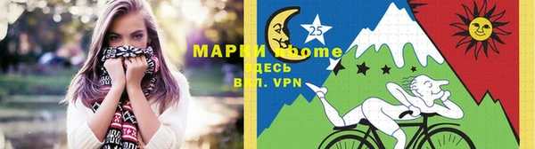 индика Абаза