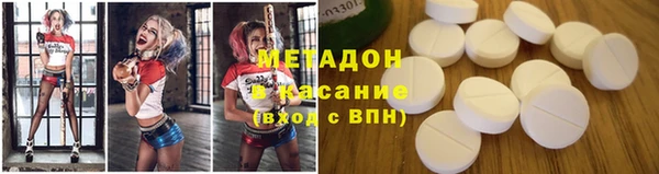 индика Абаза