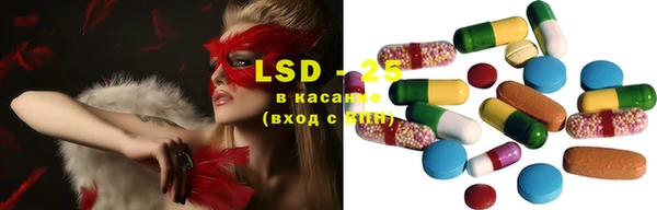индика Абаза