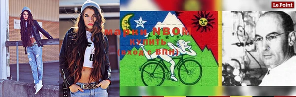 индика Абаза