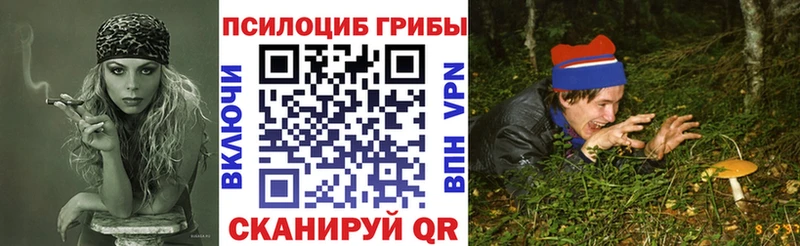 как найти закладки Брянск Псилоцибиновые грибы прущие грибы
